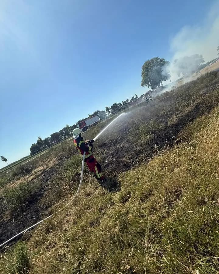 B Feuer Mittel - B Ödland Mittel