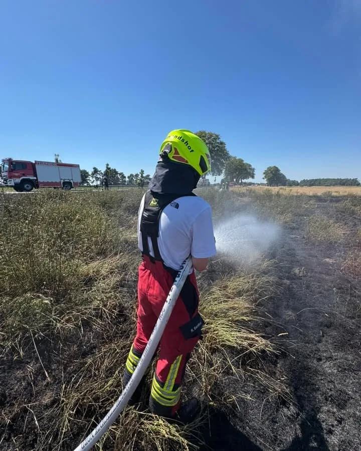 B Feuer Mittel - B Ödland Mittel