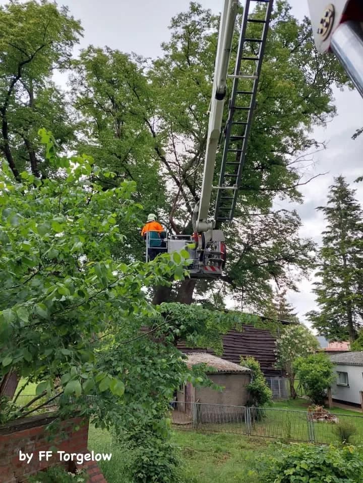 H Baum droht auf Gebäude zu fallen
