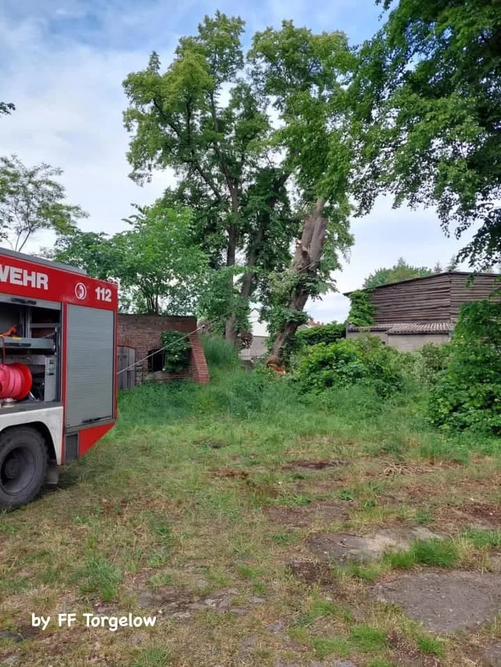 H Baum droht auf Gebäude zu fallen