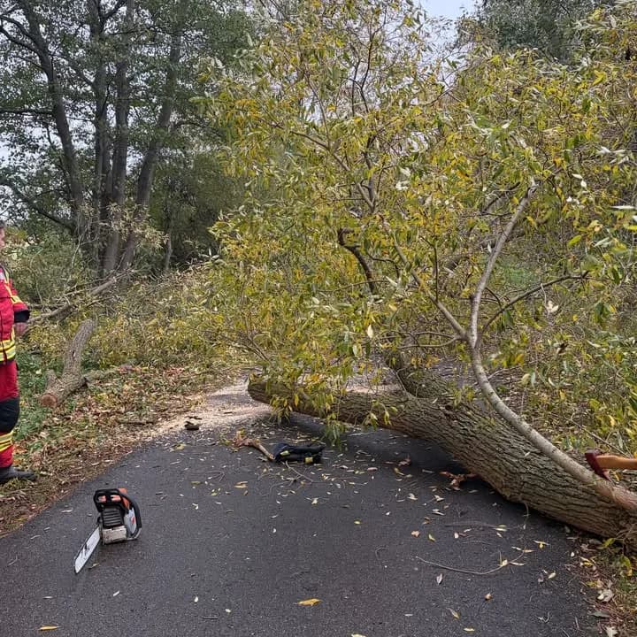 H H1_Sturm - Baum auf Straße