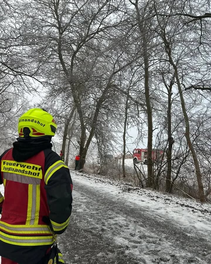H1 - Baum auf Straße