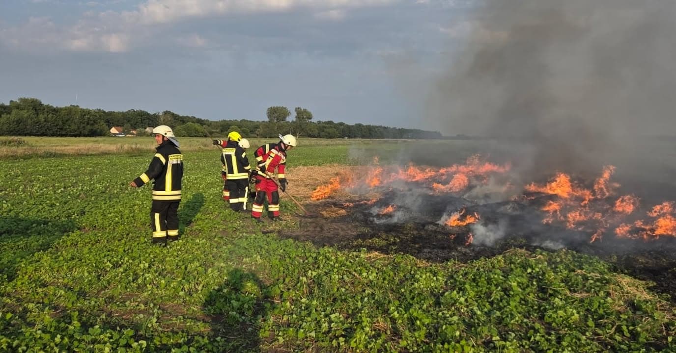 Ausbildung Flächenbrand – echtes Feuer, echte Erfahrung!