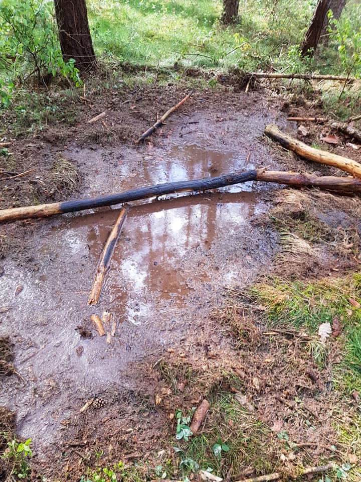 ++ Einsatz FFW Ferdinandshof ++