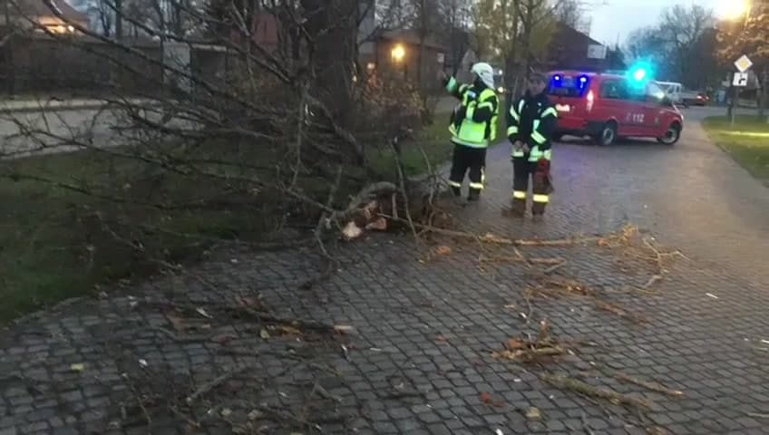 Jahresrückblick 2020