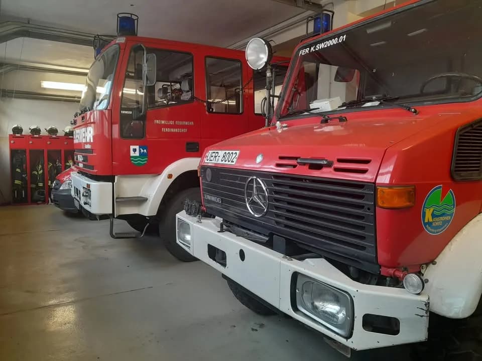 B- Feuer Klein, Hecke