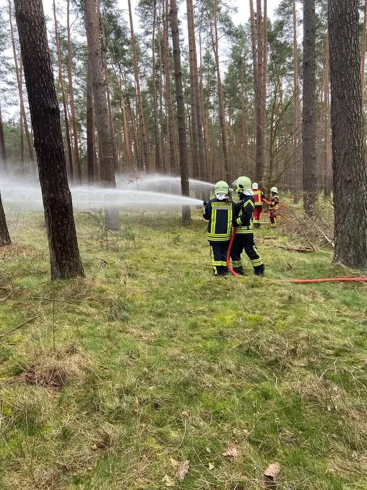 B Groß Waldbrand