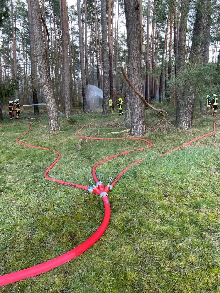 B Groß Waldbrand