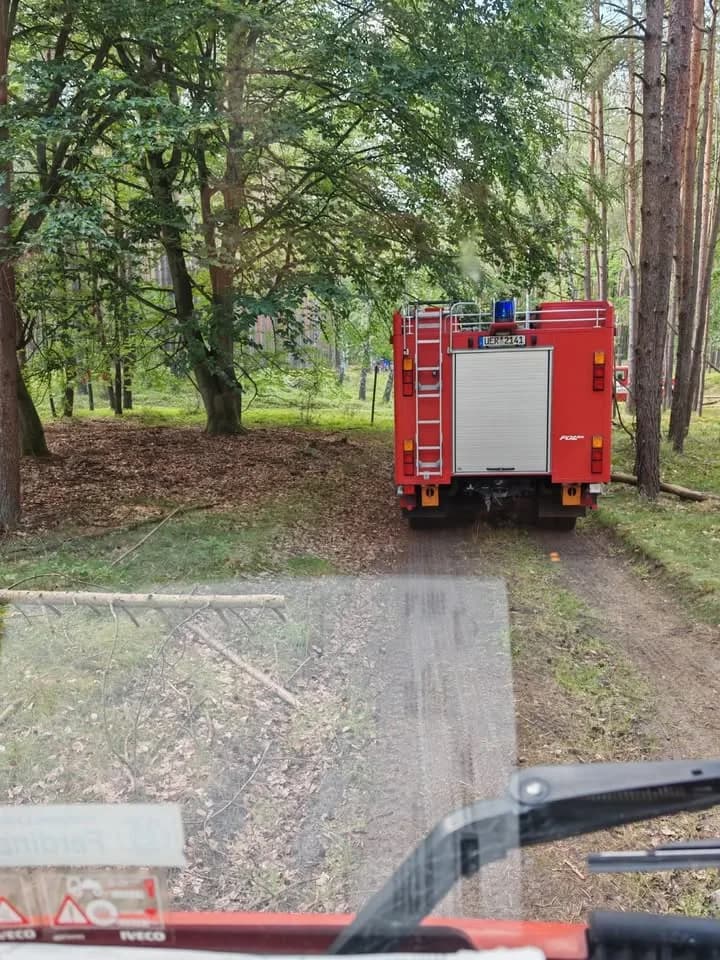 B-Groß Waldbrand