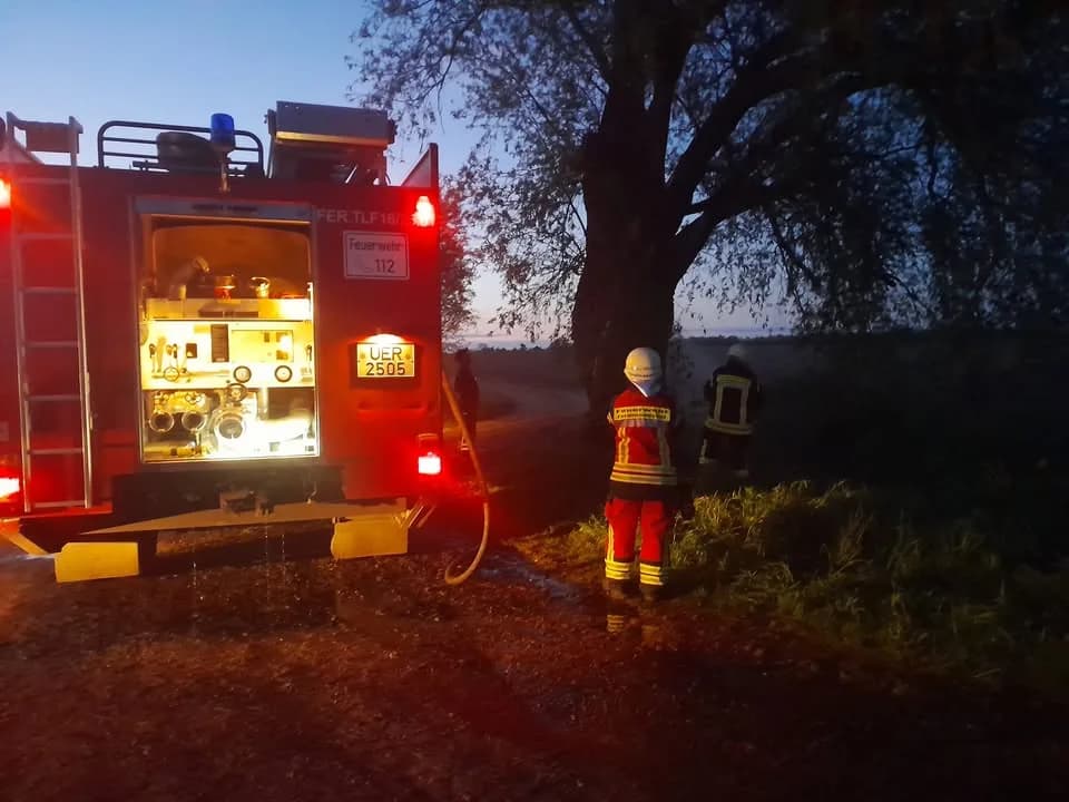 B Klein Brennt Baum
