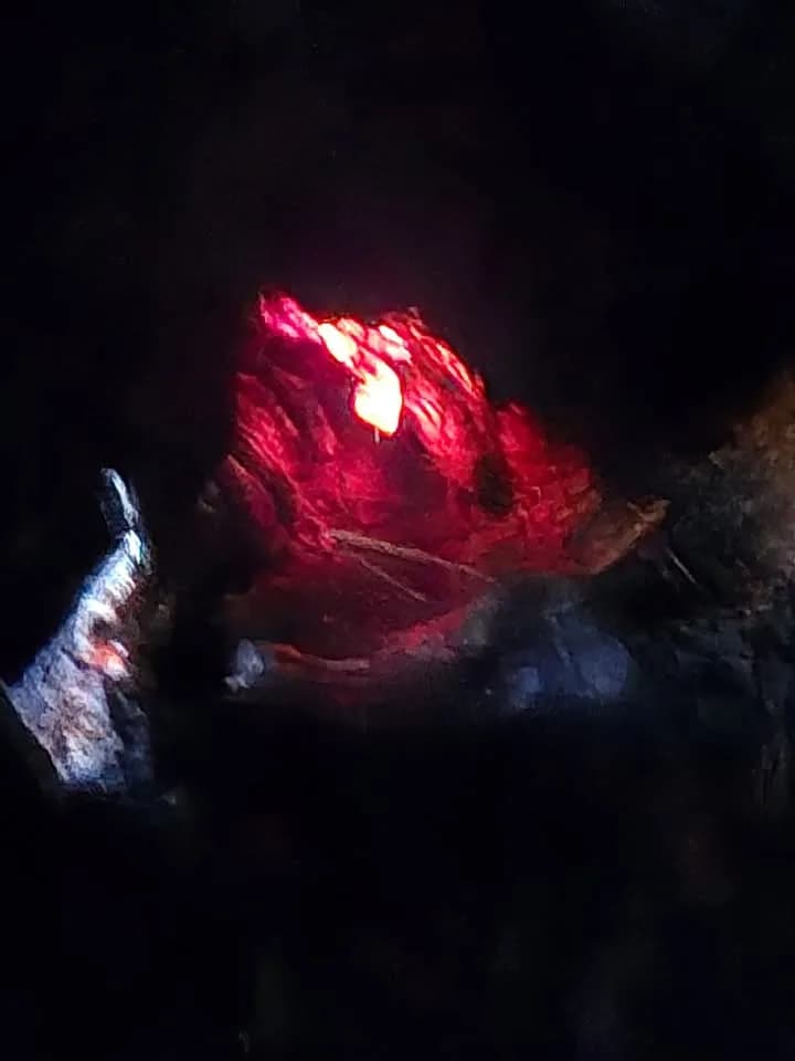B Klein Brennt Baum