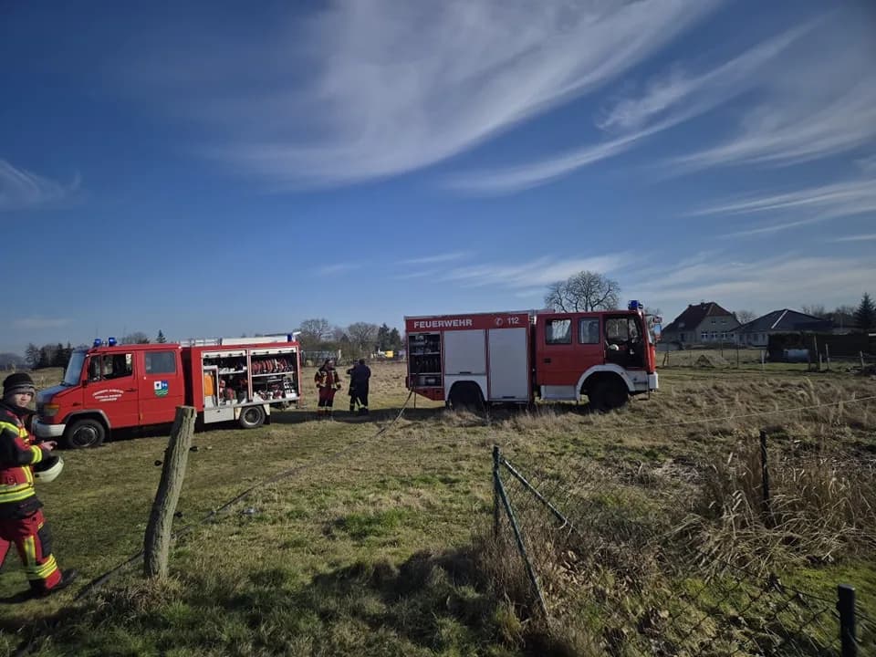 B-mittel Ödland