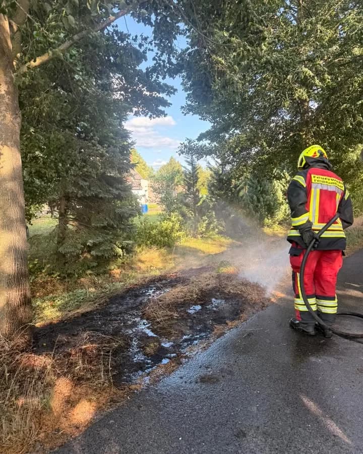 F F1 - sonstiger Klein und Entstehungsbrand