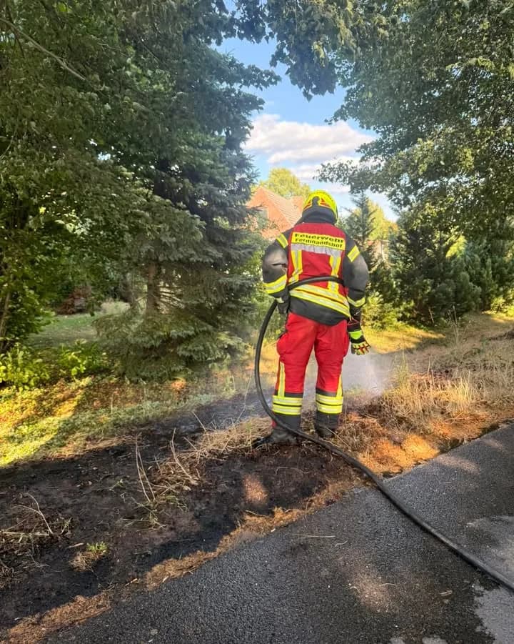 F F1 - sonstiger Klein und Entstehungsbrand