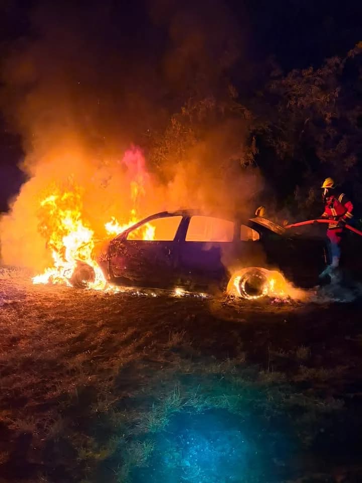 F2 Wald/Fläche Vegetationsbrand 100m2