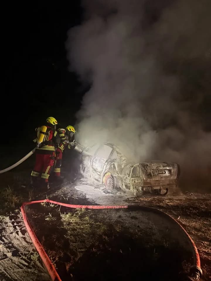 F2 Wald/Fläche Vegetationsbrand 100m2