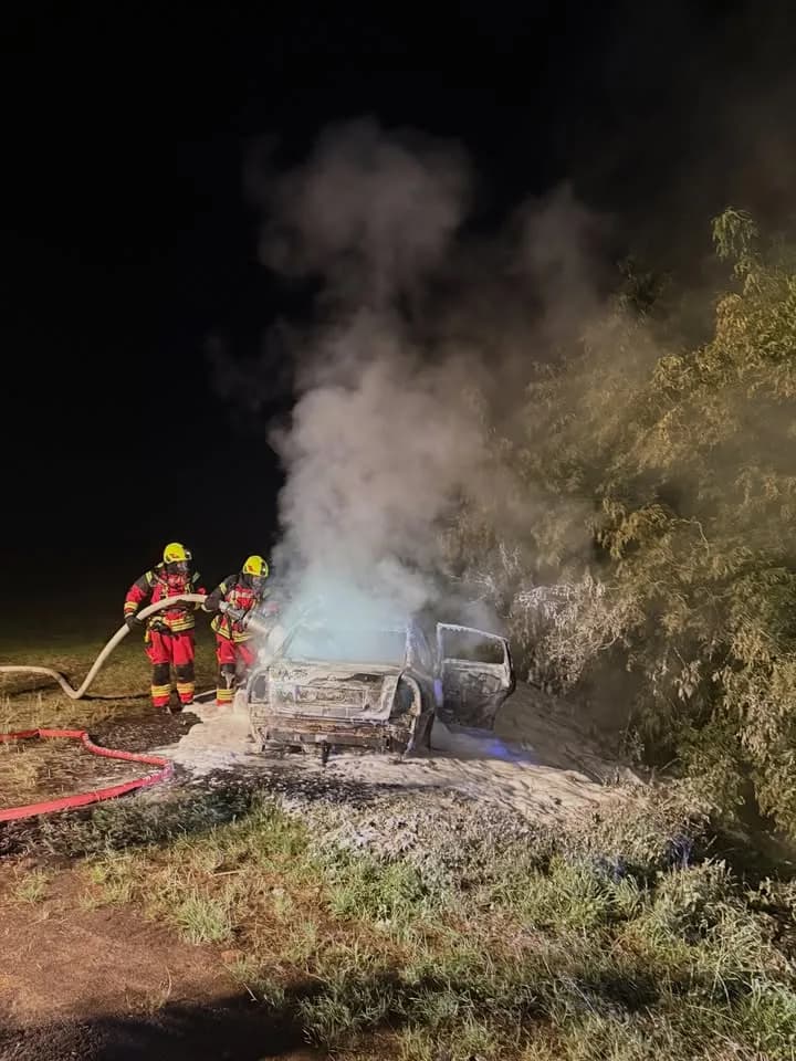 F2 Wald/Fläche Vegetationsbrand 100m2