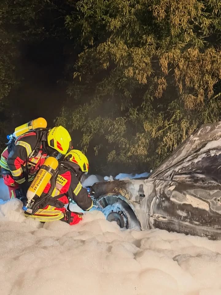 F2 Wald/Fläche Vegetationsbrand 100m2