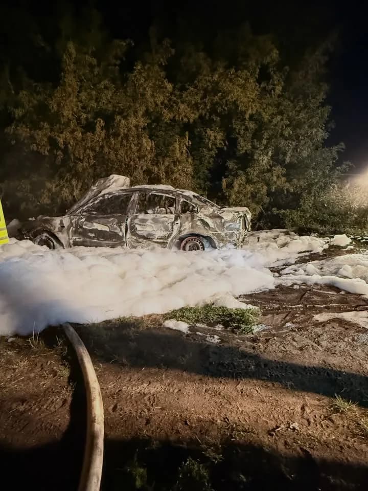 F2 Wald/Fläche Vegetationsbrand 100m2
