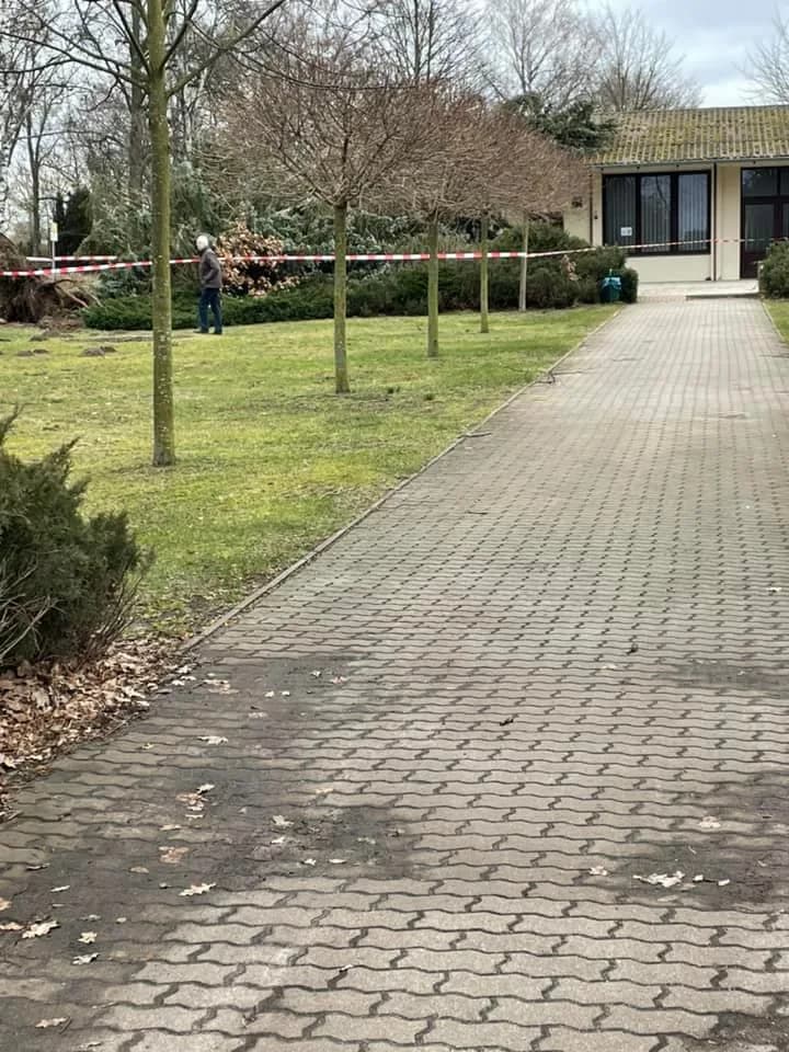 H - Baum auf Dach