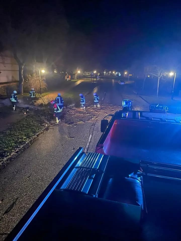 H - Baum auf Fahrbahn