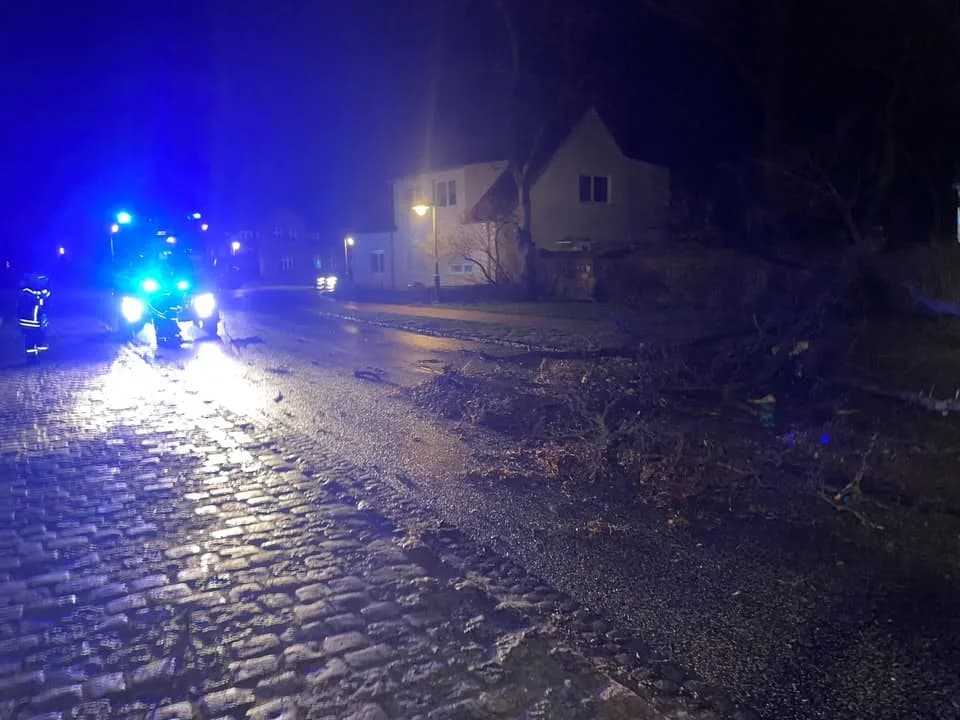 H - Baum auf Fahrbahn