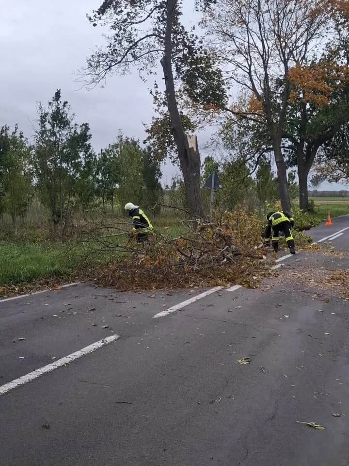 H H1_Sturm - Baum auf Straße