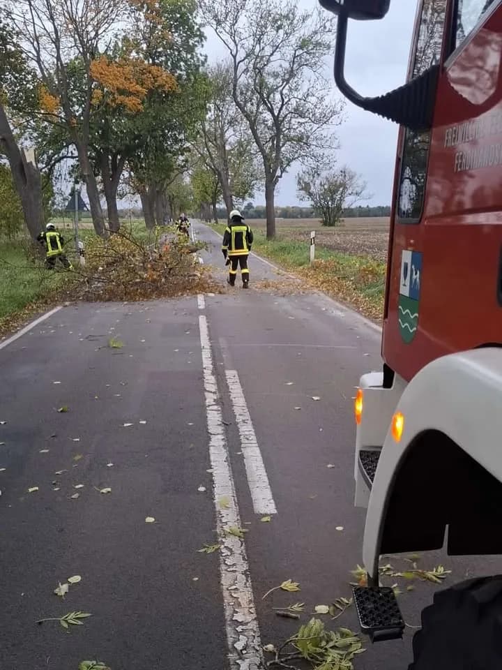 H H1_Sturm - Baum auf Straße