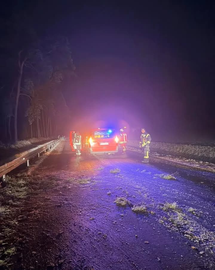 H-Klein Baum auf Straße