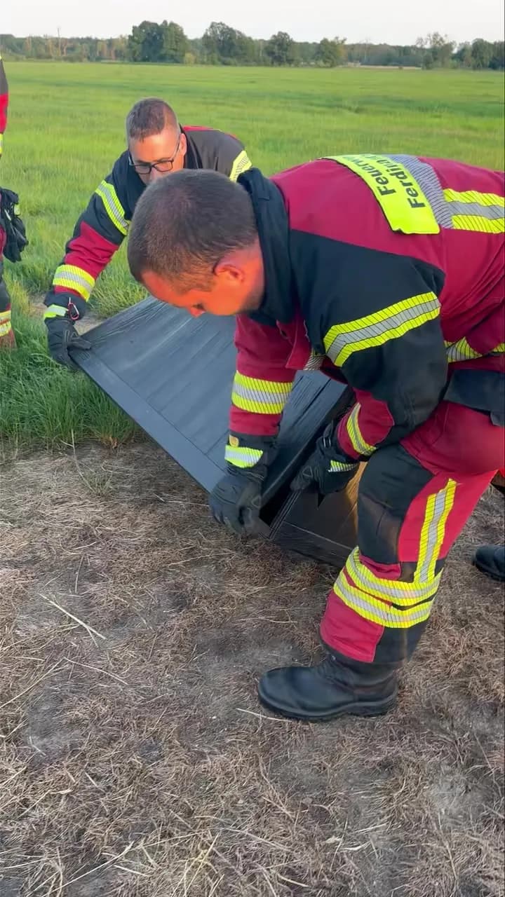 H- Klein Einsatz ohne Eile, Tierretung