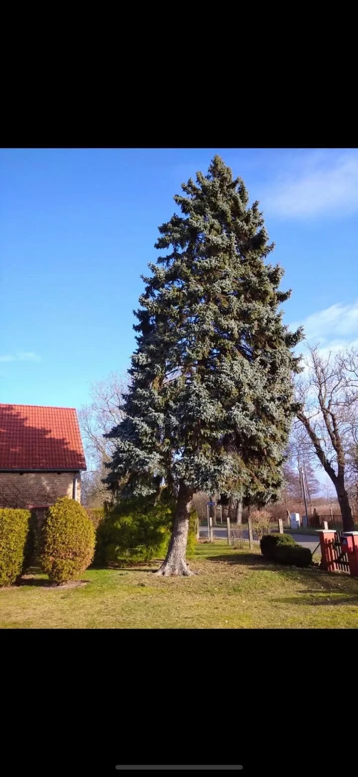 H - Sturmschäden