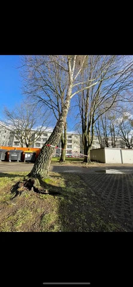 H - Sturmschäden / VKU