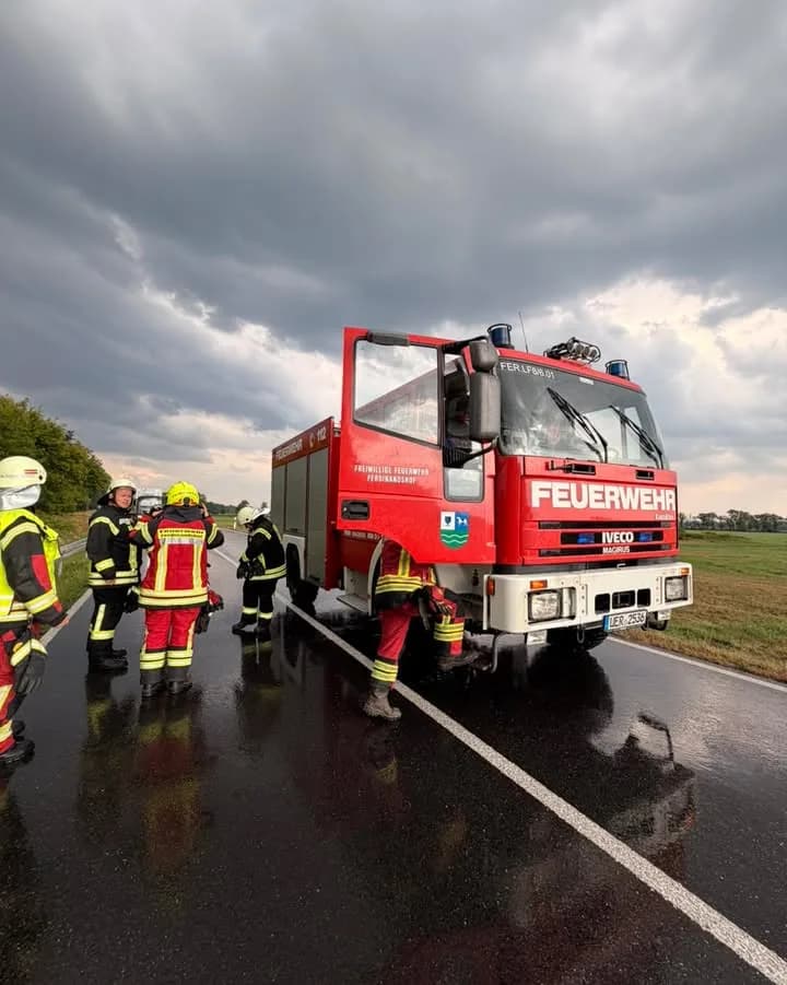 H1 Baum auf Straße / Straße unter Wasser