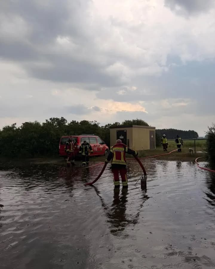 H1 Baum auf Straße / Straße unter Wasser