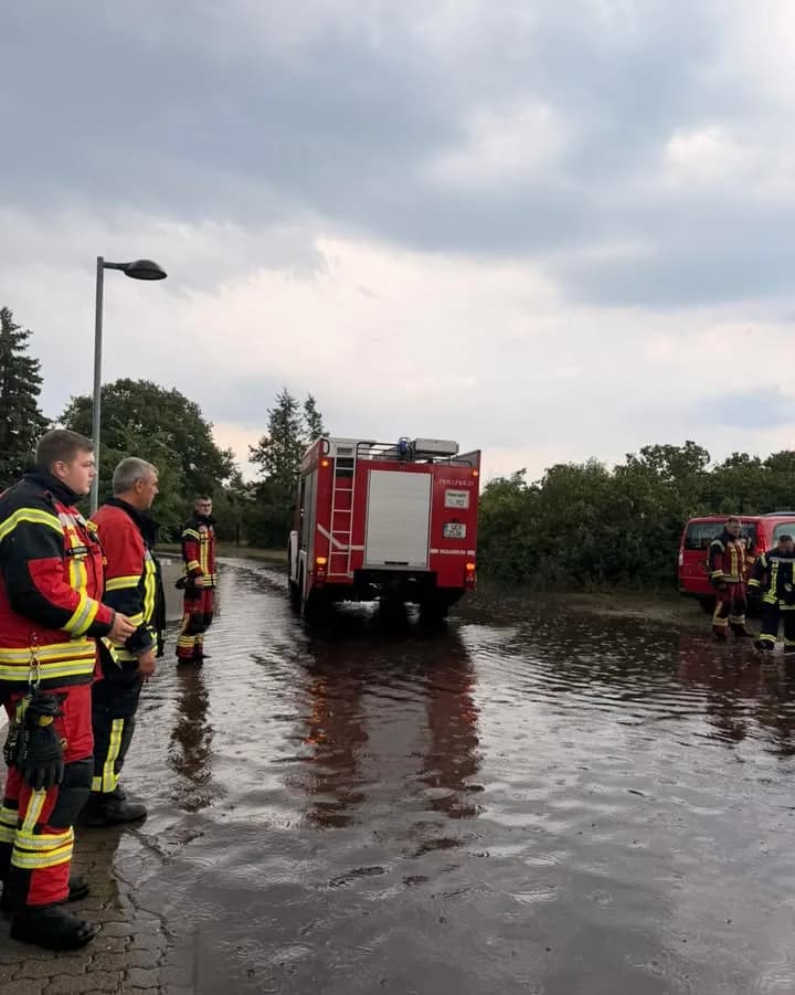 H1 Baum auf Straße / Straße unter Wasser