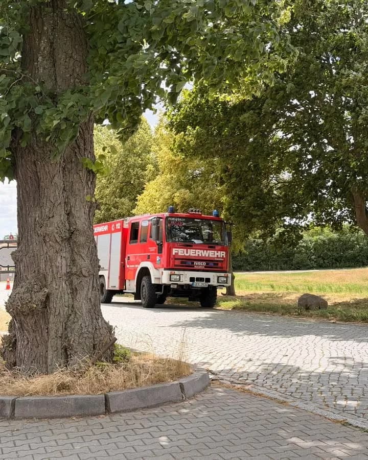 H1 DL_Sturm - Baum auf Straße