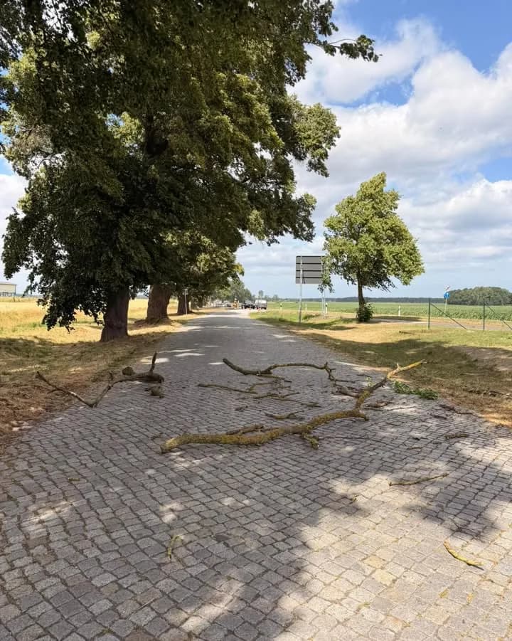 H1 DL_Sturm - Baum auf Straße