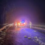 H-Klein Baum auf Straße